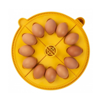 Keerrooster large voor Maxi 24 | 12 eend | kalkoeneieren | 4 kwadranten | Biomaster