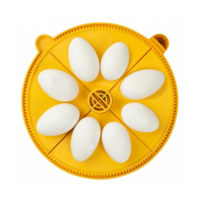 Keerrooster extra large voor Maxi 24 | 8 ganzeneieren | 4 kwadranten | Biomaster