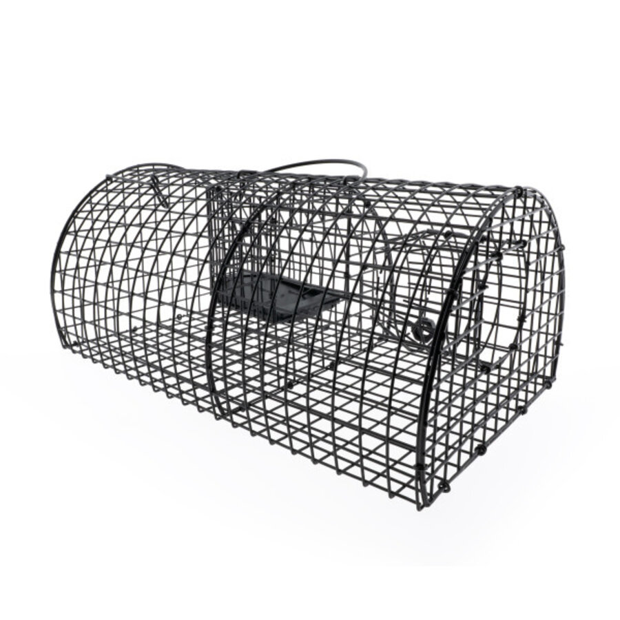 Vangkooi ratten multicatch zwart | levend vangen | 40 x 24 x 17 cm | herbruikbaar