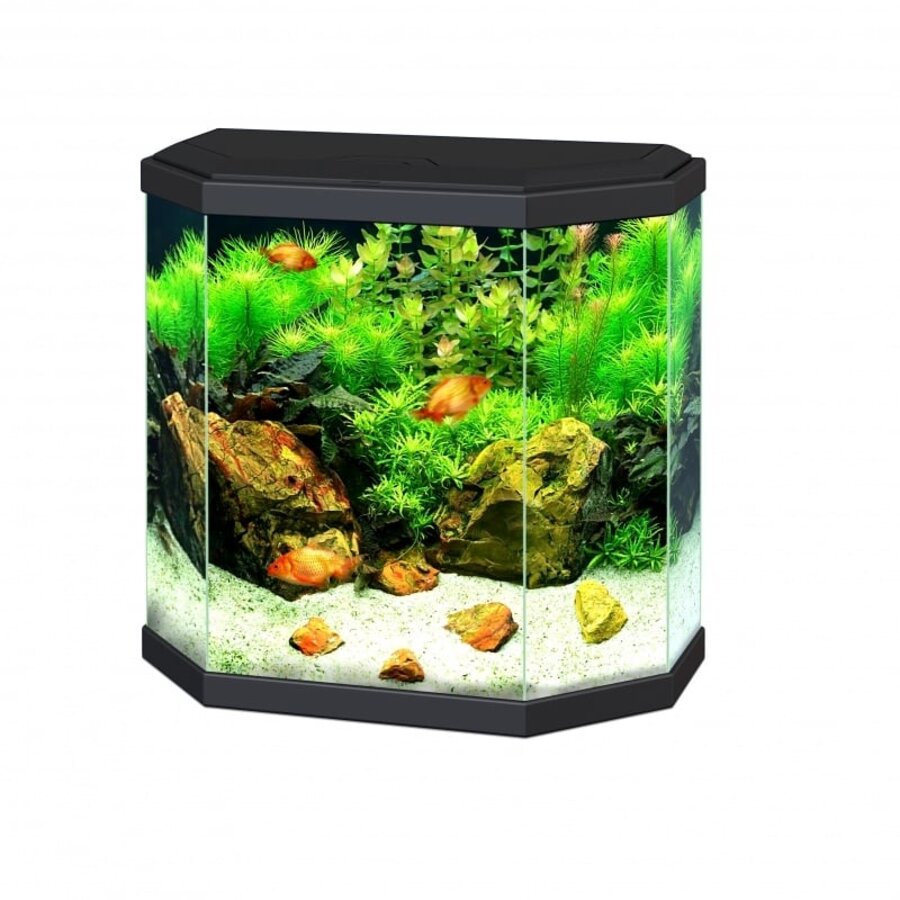 Reserve kap voor Aqua 30 LED aquarium | 40 x 20 cm | zwart