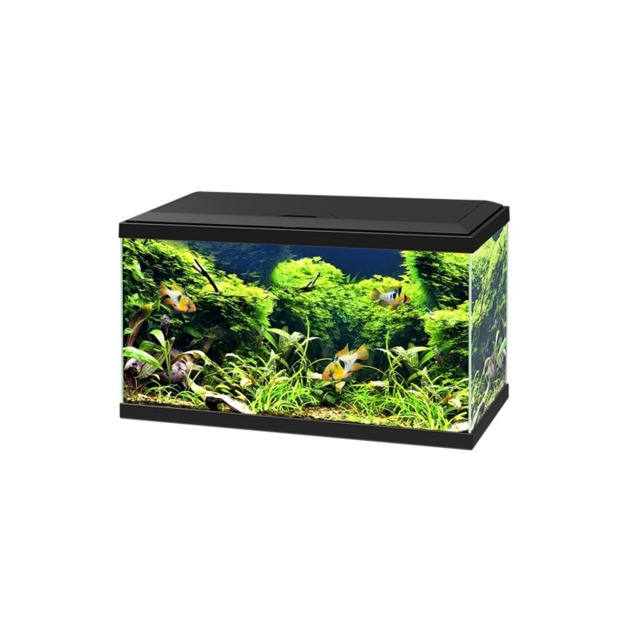 Aquariumkap 60 cm zwart | passend op 60 x 30CM aquaria | zonder verlichting