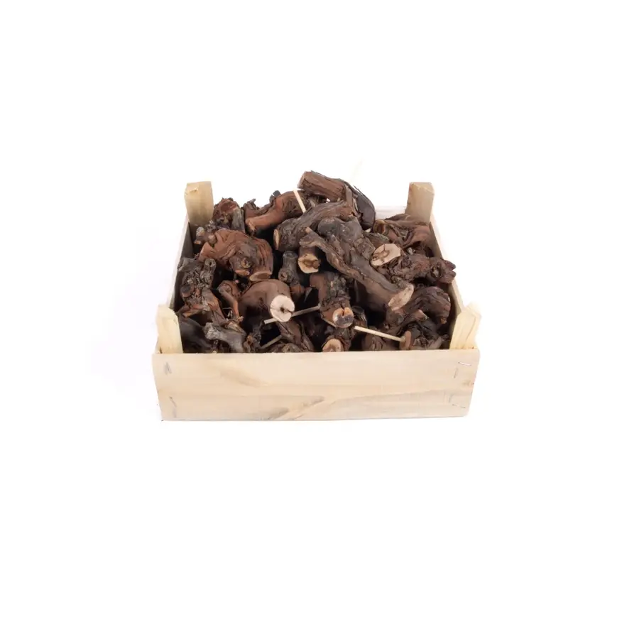 Druivenhout 8-10 cm | natuurlijk klimhout en decoratie voor terrarium