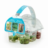 Drijfplanten | In Sixpack