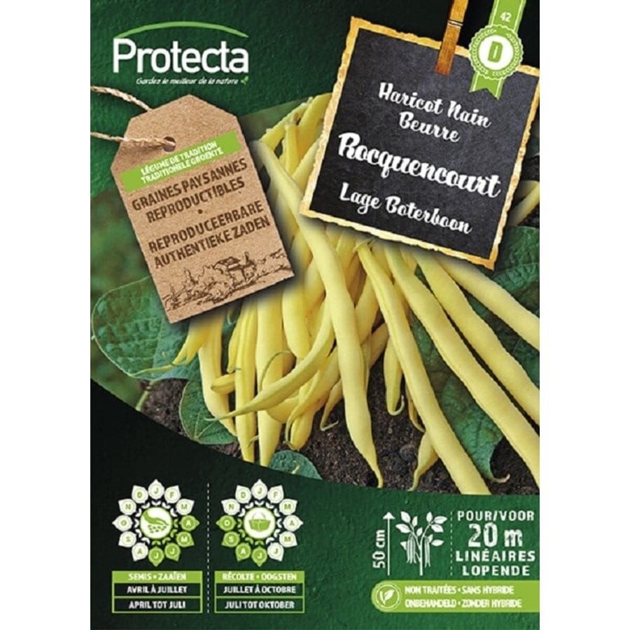 Groente zaden: Lage Boterboon ROCQUENCOURT