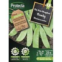 Groente zaden: Lage Peulerwt BAMBY