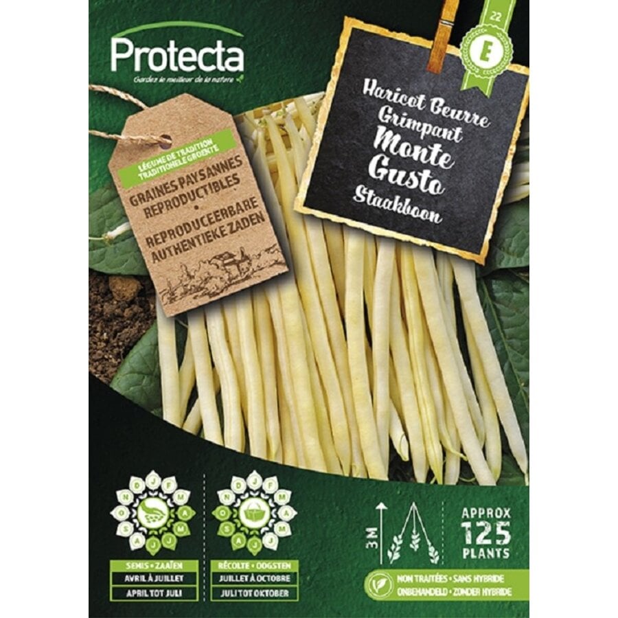 Groente zaden: Staakboon MONTE GUSTO