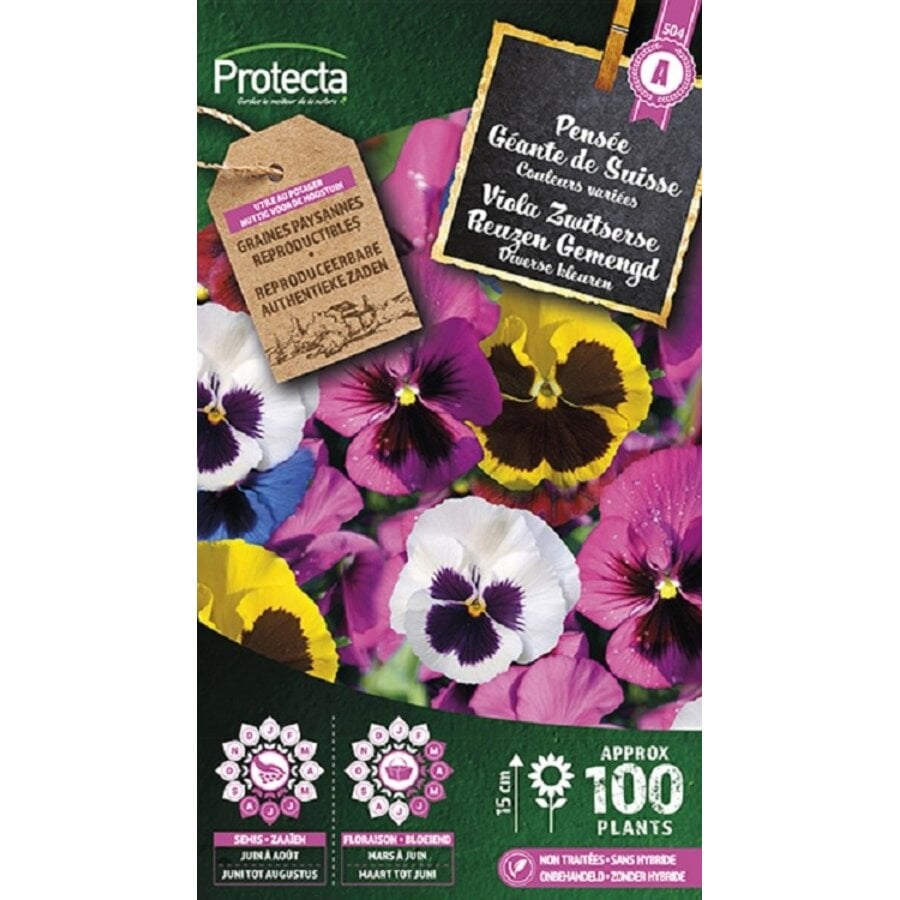 Bloemen zaden: Viooltje Zwitserse Reuzen Gemengd