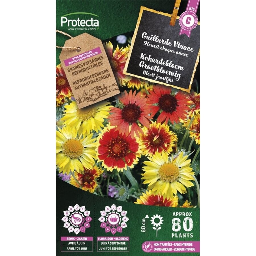 Bloemen zaden: Kokardebloem Grootbloemig