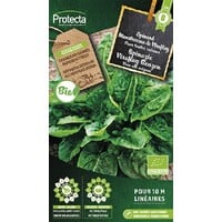 Groente zaden: Spinazie Viroflay Reuzen Biologisch