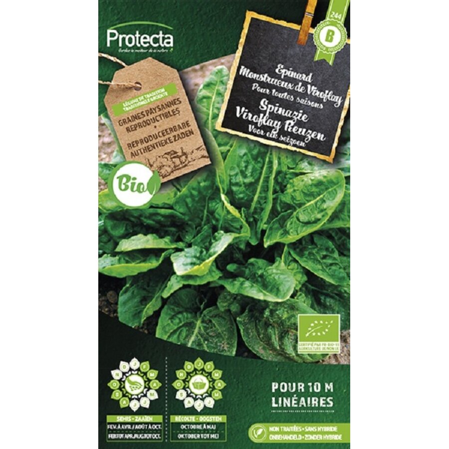 Groente zaden: Spinazie Viroflay Reuzen Biologisch