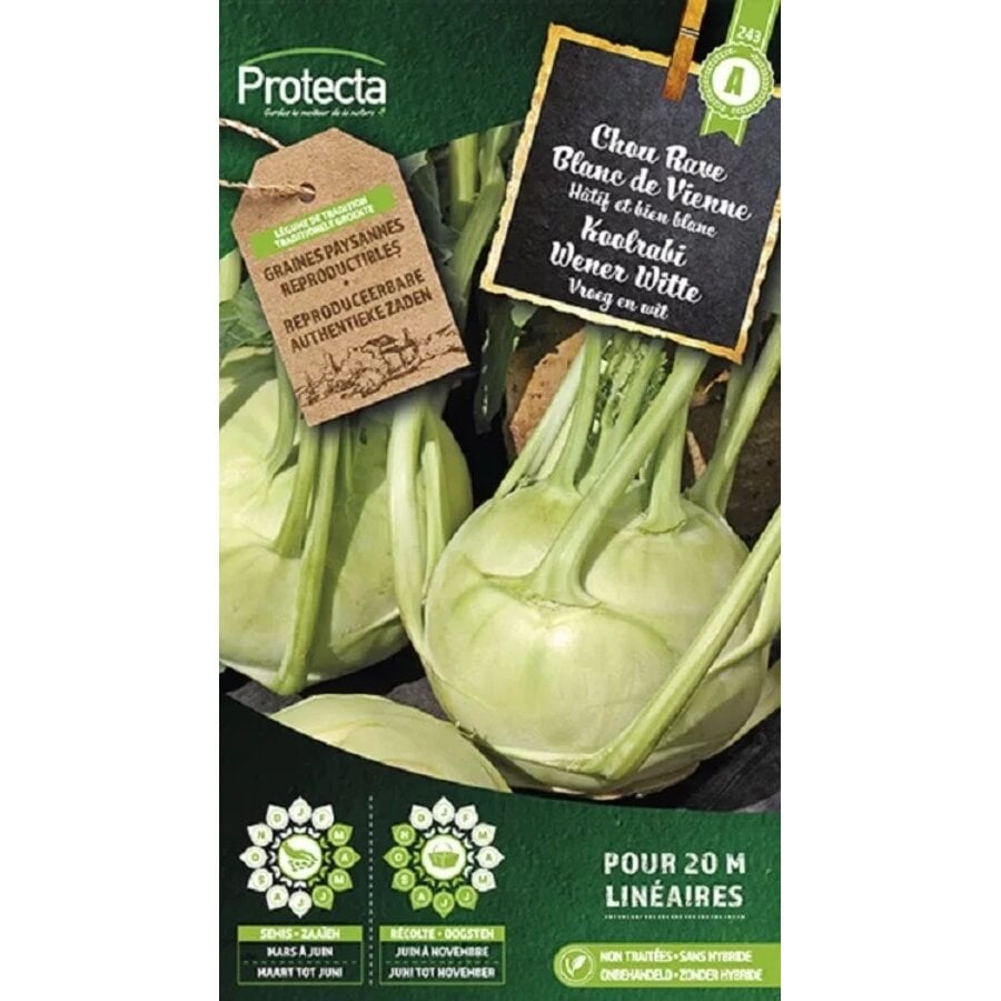 Groente zaden: Koolraap Wener Witte