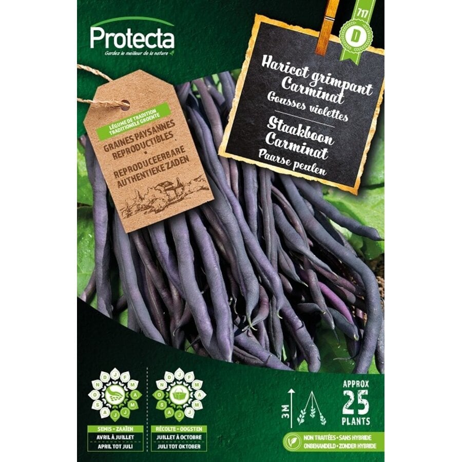 Groente zaden: Staakboon purple Carminat 25 g
