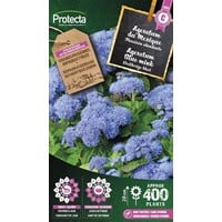 Bloemen zaden: Agertum blue mink | Mexicaantje
