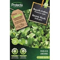 Groente zaden: Raketsla Rucola XXL