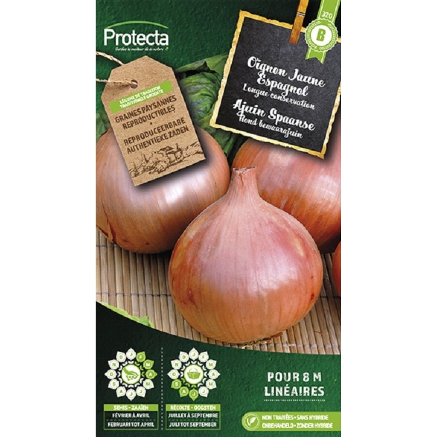 Groente zaden: Ajuin Spaanse | Spaanse ui