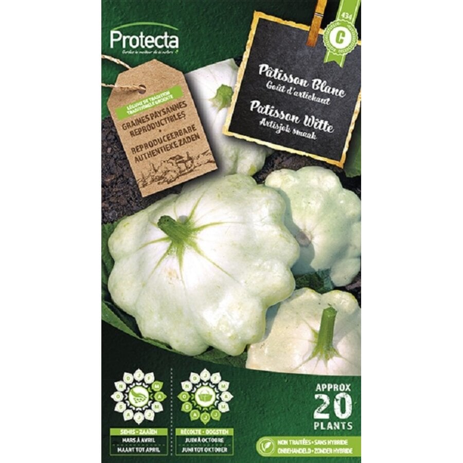 Groente zaden: Patisson Witte
