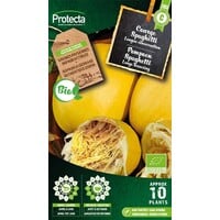 Groente zaden: Pompoen Spaghetti Biologisch