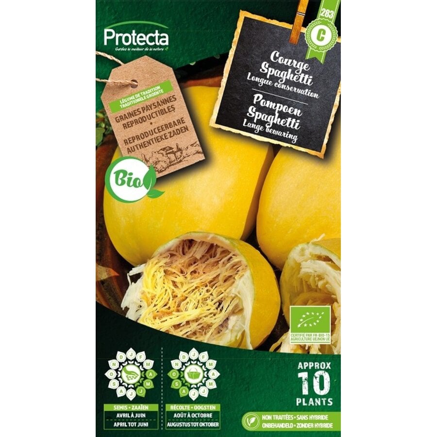 Groente zaden: Pompoen Spaghetti Biologisch