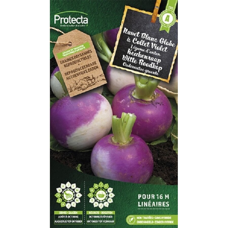 Groente zaden: Keukenraap Witte Roodkop
