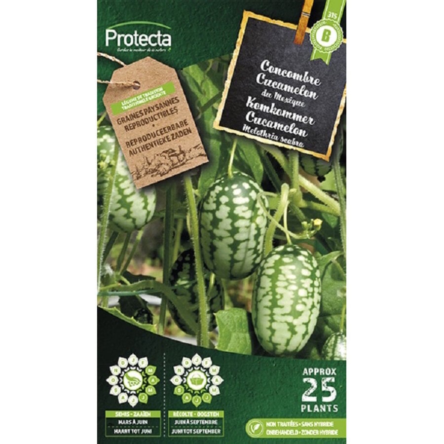 Groente zaden: Cucamelon Mexicaanse komkommer
