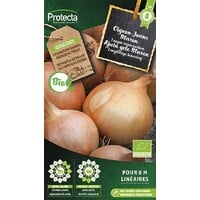 Groente zaden: Ajuin Gele Sturon Biologisch | Gele ui