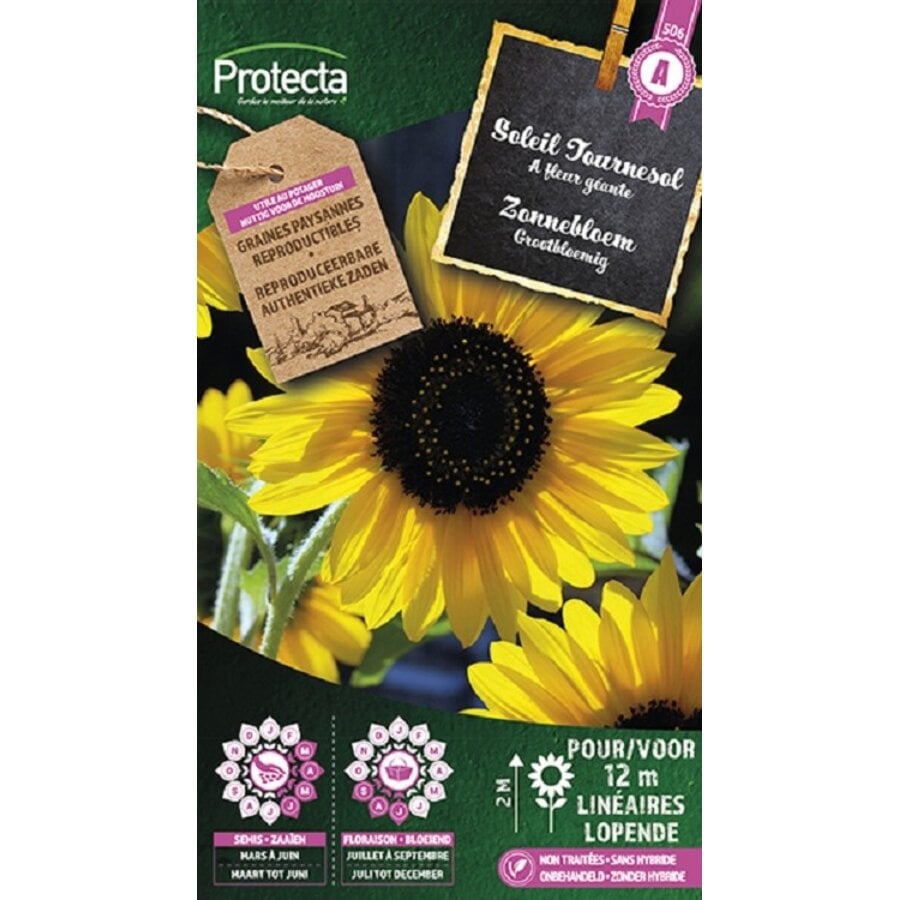 Bloemen zaden: Zonnebloem Grootbloemig