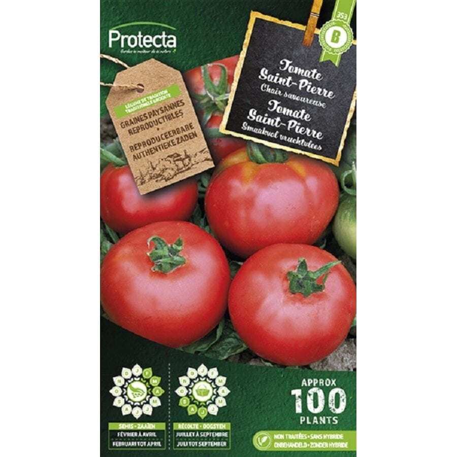 Groente zaden: Tomaat Saint-Pierre Piersol