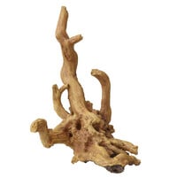 Aqua D'ella Koffiewortel bruin XXL