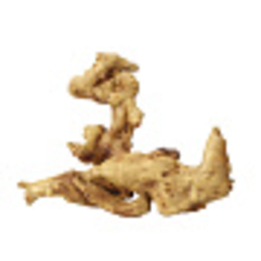 Aqua D'ella Koffiewortel bruin XXL