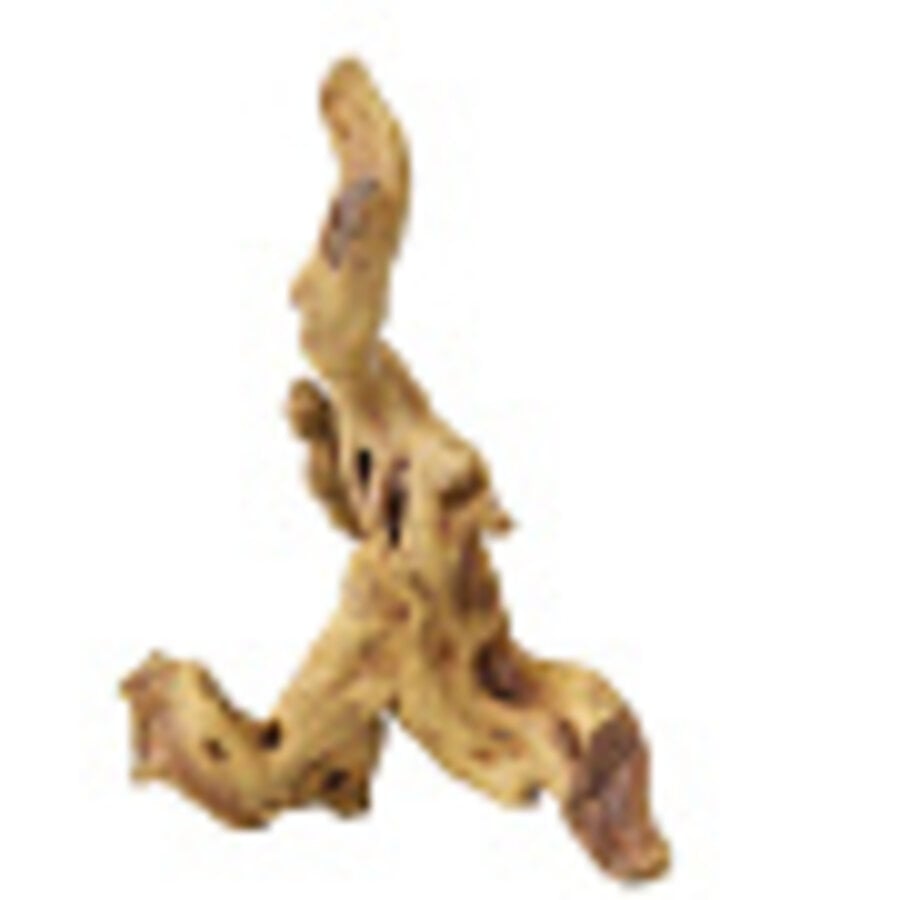 Aqua D'ella Koffiewortel bruin XXL