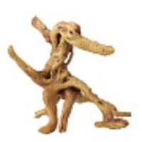 Aqua D'ella Koffiewortel bruin XXL