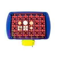 Borotto Real 24 broedmachine