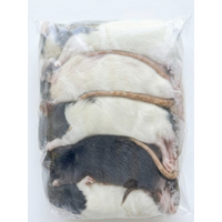 Diepvries volwassen ratten – 1 kilo voordeel
