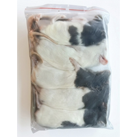 Diepvries middel ratten – 1 kilo voordeel