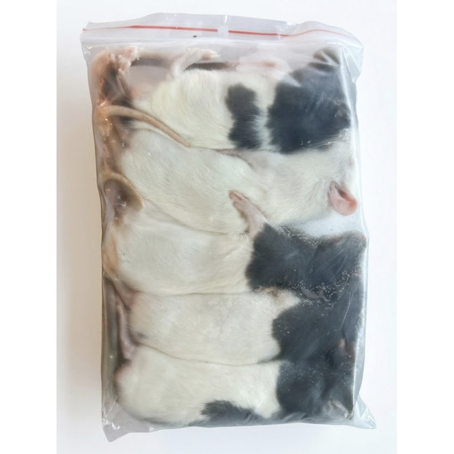 Diepvries middel ratten – 1 kilo voordeel