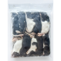 Diepvries ratten klein  – 1 kilo voordeel