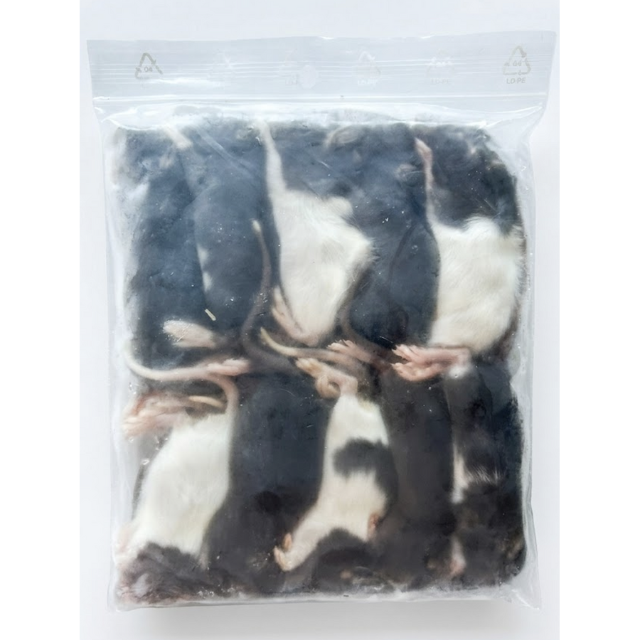 Diepvries ratten klein  – 1 kilo voordeel