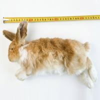 Diepvries konijn klein 300–700 gram