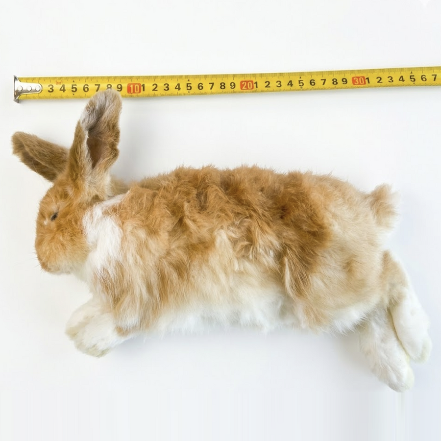 Diepvries konijn klein 300–700 gram