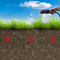 Aaltjes tegen taxuskever, rouwvliegjes en rupsen | Nema-T Bag Kraussei | 2 T-Bags