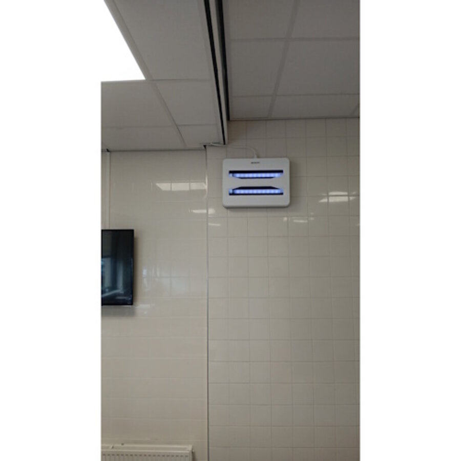 LED 60 vliegenlamp met lijmplaat | wandmodel 50–100 m²