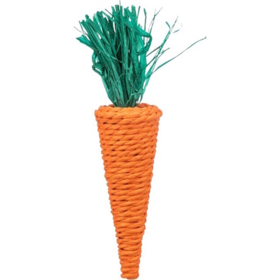 Papieren wortel