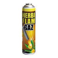 Herbi Flam universele gasfles 600 ml voor onkruidbranders