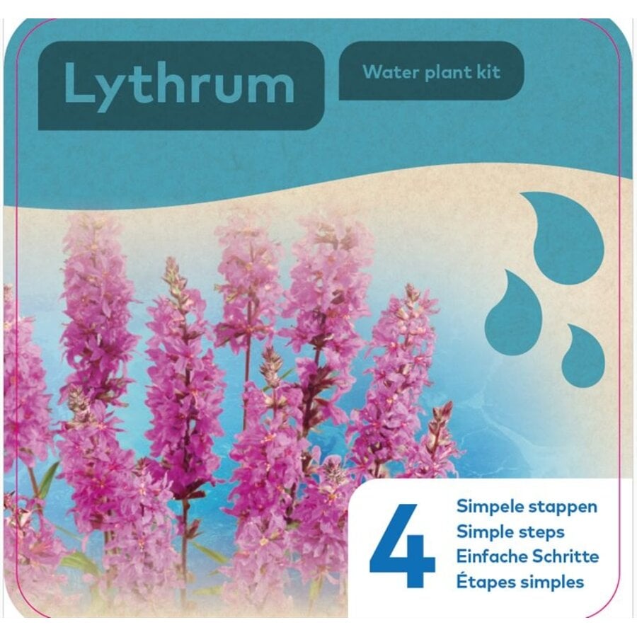Droogverpakking Waterplant Lythrum