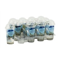 Drijfplanten mix in beker Small