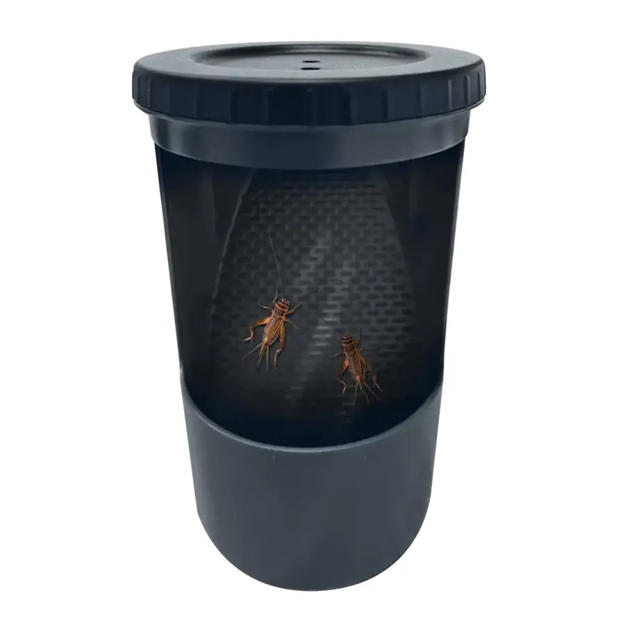 Insecten buffet | hangend insectenvoerstation 11 x 7 x 15 cm voor kameleons en andere insecteneters