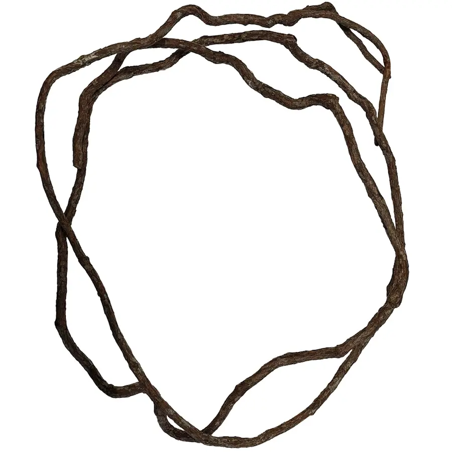 Terrarium liaan 300 cm | natuurlijke klimplant voor tropisch terrarium