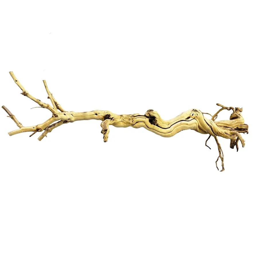 Dragon Tree terrarium kunstplant 90-105 cm | grote jungle decoratie