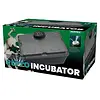 Incubator