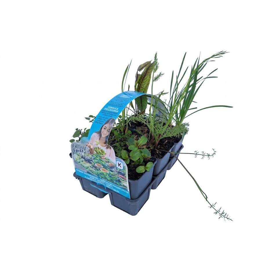 Eetbare planten | In sixpack
